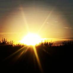 13418542_10202308645672940_4105461760306272612_o