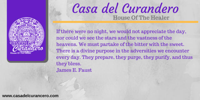 THE NEW YOU (38).png