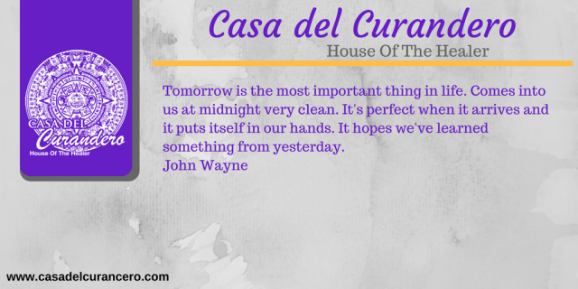 THE NEW YOU (52).png