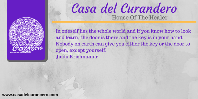 THE NEW YOU (56).png